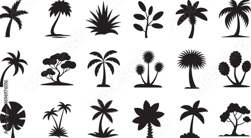 Tropical Palm and Coconut Leaf Silhouette Vector with Beach and Jungle Elements