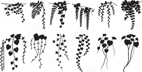 Hanging Plant Silhouettes Set | Indoor Vine and Flower Icons | Black and White Climbing Plants Vector | Minimalist Botanical Design Elements | Wall Decor Plant Outlines