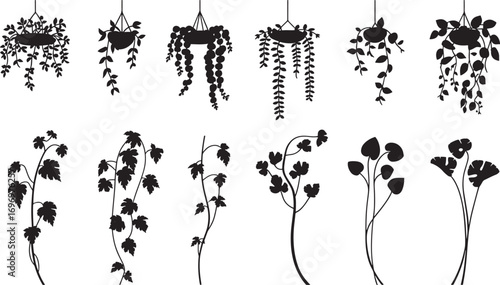 Hanging Plant Silhouettes Set | Indoor Vine and Flower Icons | Black and White Climbing Plants Vector | Minimalist Botanical Design Elements | Wall Decor Plant Outlines