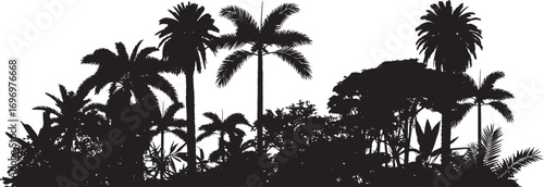 Jungle landscape. Vector background with silhouette of rainforest. Horizontal black panoramic border with palms, trees and bushes.