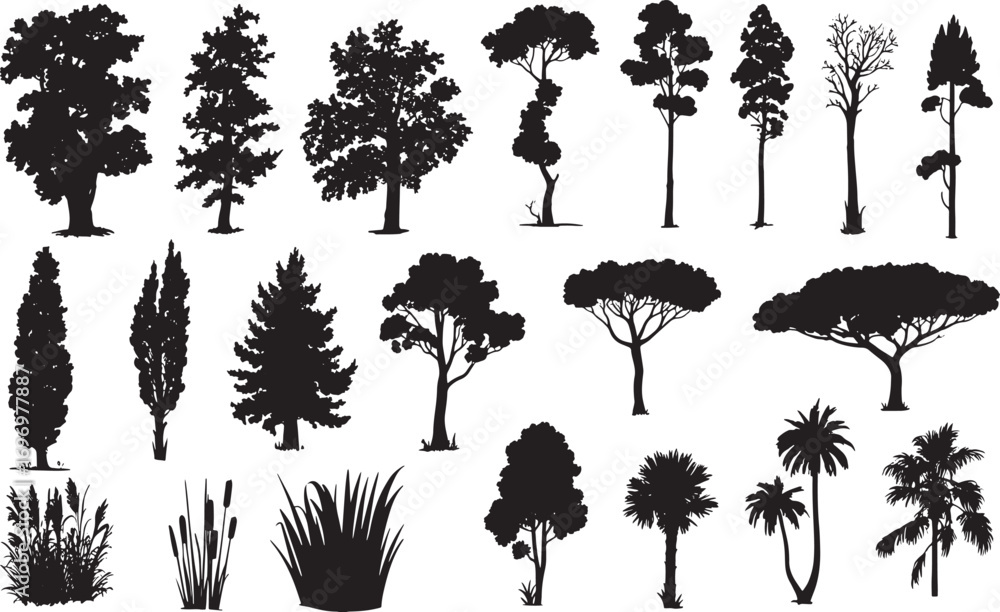 Fototapeta premium Tree Silhouette Vector Collection – Evergreen Pine, Oak, Fir, and Deciduous Forest Elements for Nature and Ecology Design