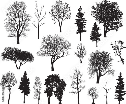 Tree Silhouette Vector Collection – Evergreen Pine, Oak, Fir, and Deciduous Forest Elements for Nature and Ecology Design