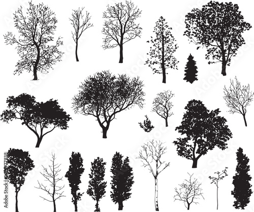 Tree Silhouette Vector Illustration with Tropical, Deciduous, and Evergreen Forest Elements