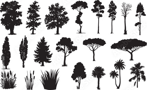 Tree Silhouette Vector Collection – Evergreen Pine, Oak, Fir, and Deciduous Forest Elements for Nature and Ecology Design