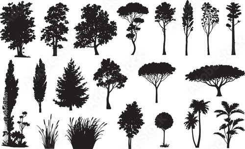 Tree Silhouette Vector Collection – Evergreen Pine, Oak, Fir, and Deciduous Forest Elements for Nature and Ecology Design
