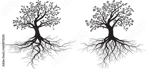 Elegant black and white tree graphic with roots.