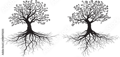 Elegant black and white tree graphic with roots.