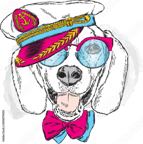 A pedigreed dog with glasses, a tie and a cap. Pitbull. Vector illustration. Captain, sailor.