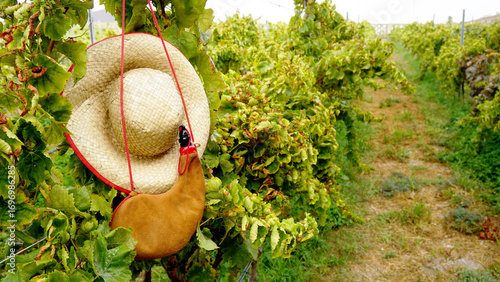 Leather handmade bota wineskin and straw hat on autumn vineyard background in Tenerife, Canary Islands,Spain. 