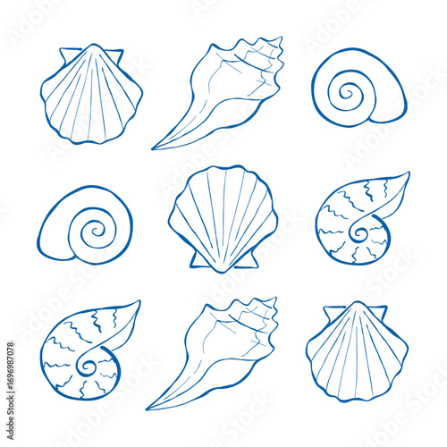 Set with outline illustration of seashells with different shape isolated on white background. Vector hand-drawn ink design with ocean elements for print, packaging, wallpaper, or wrapping paper.