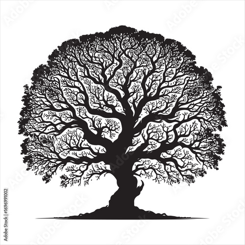 Stylized silhouette of a mighty oak tree with bare branches forming an intricate canopy, a powerful symbol of nature, life, and heritage