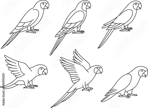 Outline illustration of parrots in different poses, exotic tropical birds vector, flying parrot design, perched parrot art, wildlife drawing, nature line artwork