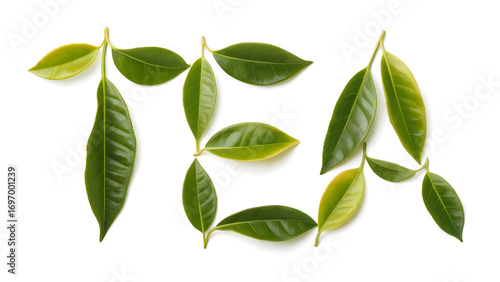 the word tea written with tea leaves