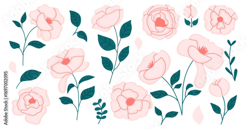A collection of blush pink floral illustrations and teal leaves. Набор пионов. Hand draw vector decorative elements