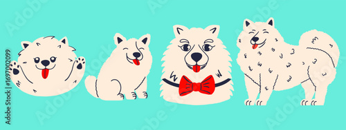 Set with funny dogs of the Samoyed breed. Fluffy pets. Cute canine hand draw illustrations