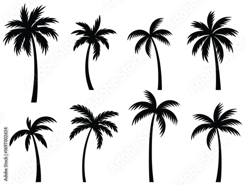 Palm Tree Silhouettes Set – Black Tropical Tree Vector Collection