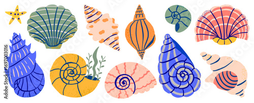 Seashell collection. Trendy aesthetic hand drawn shells. Colorful summer beach vector illustrations.