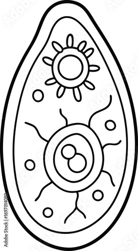 biology plant cell outline under microscope view.