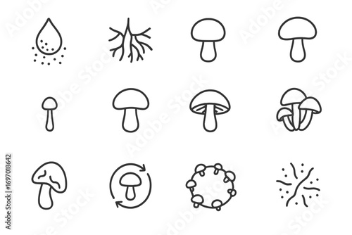 Mushroom Growth Line Icons. Line style icons of mushroom growth stages: mushroom spore icon, hyphae threads, mycelium network,