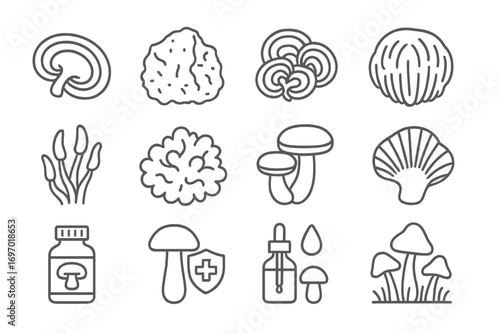 Medicinal Mushroom Icons. Line style icons of medicinal mushrooms: reishi symbol, chaga block icon, turkey tail stack, lion’s mane