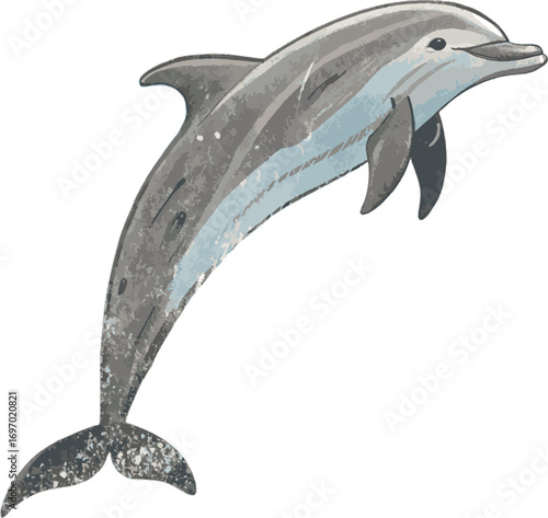 playful dolphin jumping out of water.