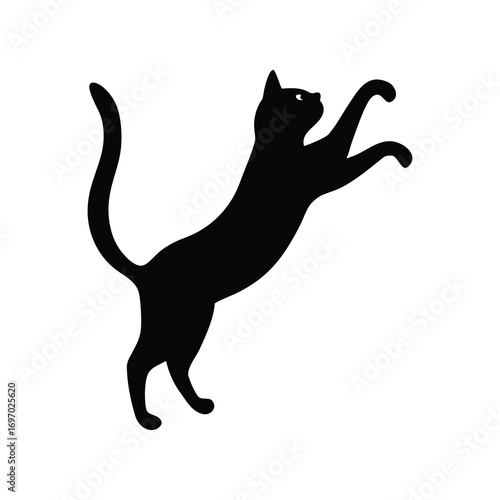  cat jumping high on white background