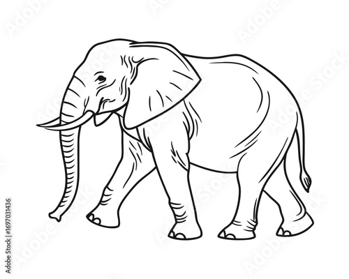 African Elephant Illustration Black and White Outline Walking Wildlife Conservation Endangered Species Graphic Design Animal Artwork Educational Material Mammal Drawing