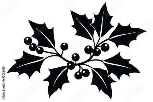 mistletoe silhouette vector art