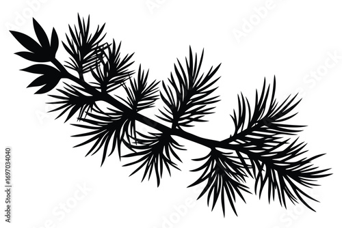 pine branch silhouette vector art