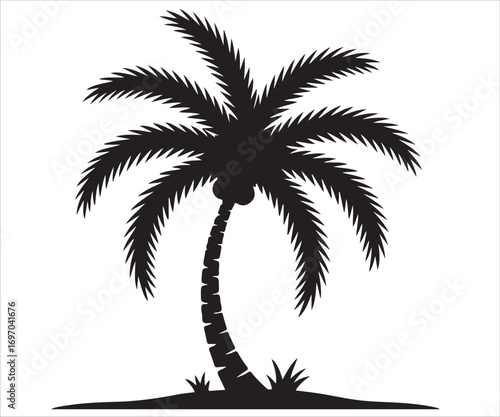 Silhouette of tropical palm tree with long leaves and curved trunk, exotic beach landscape, summer holiday symbol, nature vacation concept, seaside paradise, island travel, coastal illustration, and r