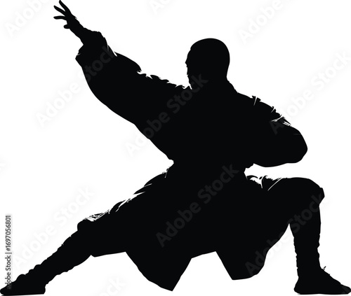 Black Silhouette of Person in Martial Arts Stance