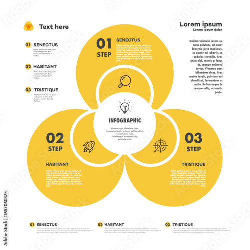 Infographic chart vector template modern style yellow color for presentation, start up project, business strategy, theory basic operation, logic analysis. Venn diagram 10 eps