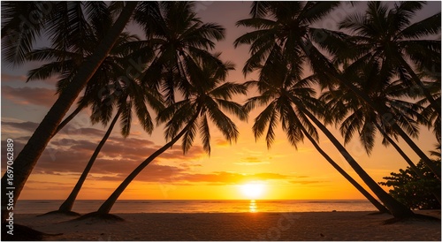 Iconic Coconut Palms Silhouetted Against a Golden Hour Sunset in Derawan