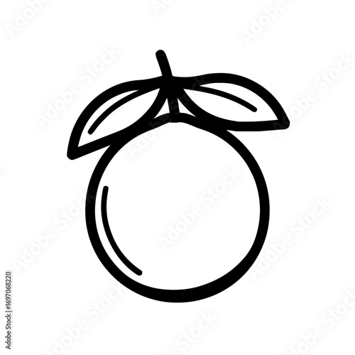 Orange fruit drawing vector illustration, citrus fruit outline, healthy food, vitamin c, fresh fruit design
