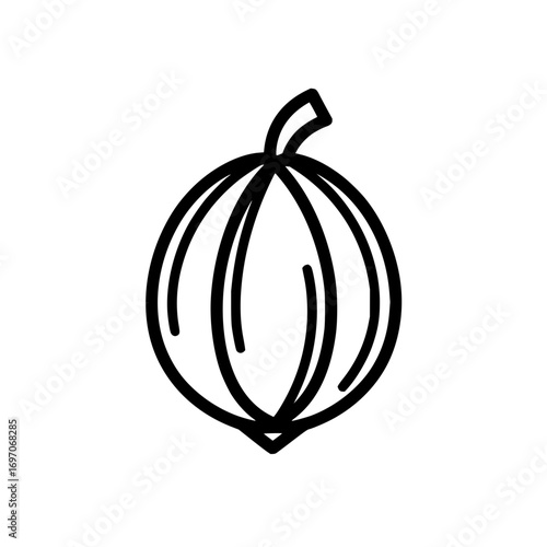 Illustration of a fresh healthy loquat fruit vector icon drawing loquat outline design healthy food illustration