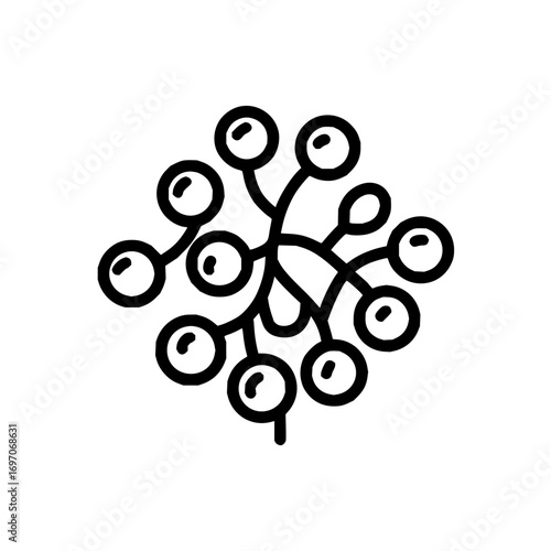 Berries vector illustration fruit plant berry food nature botanical drawing outline icon symbol clip art 100