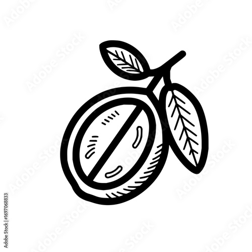 Black and white drawing of a lemon fruit with leaves vector illustration fresh citrus fruit design element 100