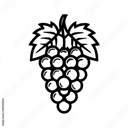 Black and white grapes vector illustration for wine making and fruit designs simple and clean line art style