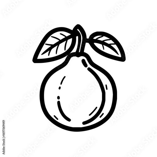Vector illustration of a fresh guava fruit with leaves drawing for healthy food and nutrition content