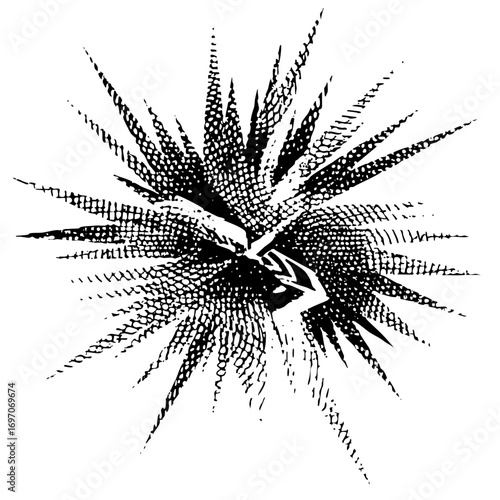 Vector Intricate feather headdress features a central face .