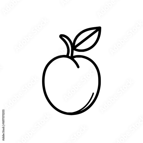 Outline drawing of a plum fruit vector illustration for food blogs and healthy eating websites and designs