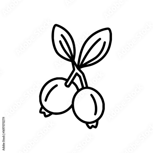 Vector lingonberry illustration cranberry clip art drawing berry icon fruit design food graphic element 100