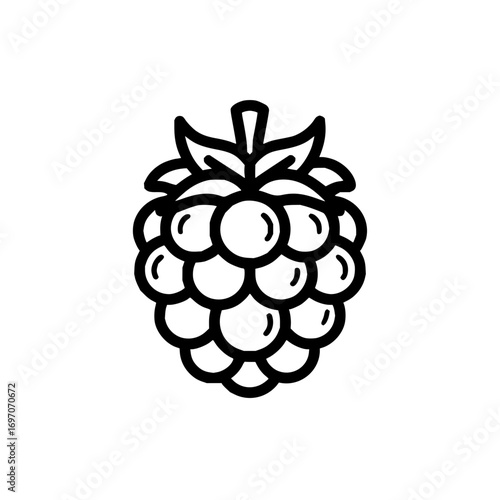 Raspberry fruit vector icon illustration fresh berry outline healthy food design sweet dessert organic ingredient 100