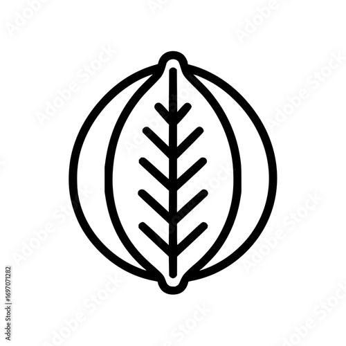 Vector cabbage icon outline drawing fresh vegetable healthy food ingredient vegan diet farm product nutrition 100