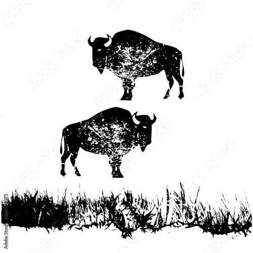 Vector Two bison silhouettes stand amidst textured grassland.