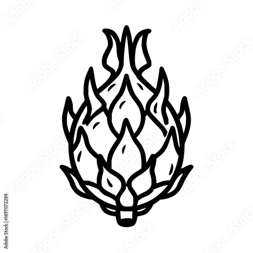 Dragon fruit pitaya exotic fruit tropical fruit healthy food black and white line drawing illustration