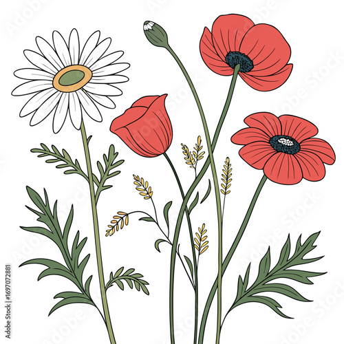 Hand Drawn Red Poppies and White Daisy Flowers with Green Stems and Leaves poppy red poppy