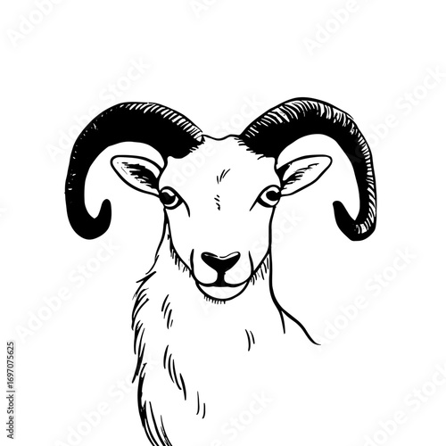 ram. ram simple black and white line art vector logo