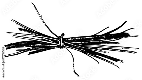 Vector Bundled stalks depicts a rustic tied sheaf of plant stems.