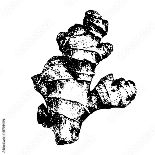 Vector Detailed of a fractured bone structure.